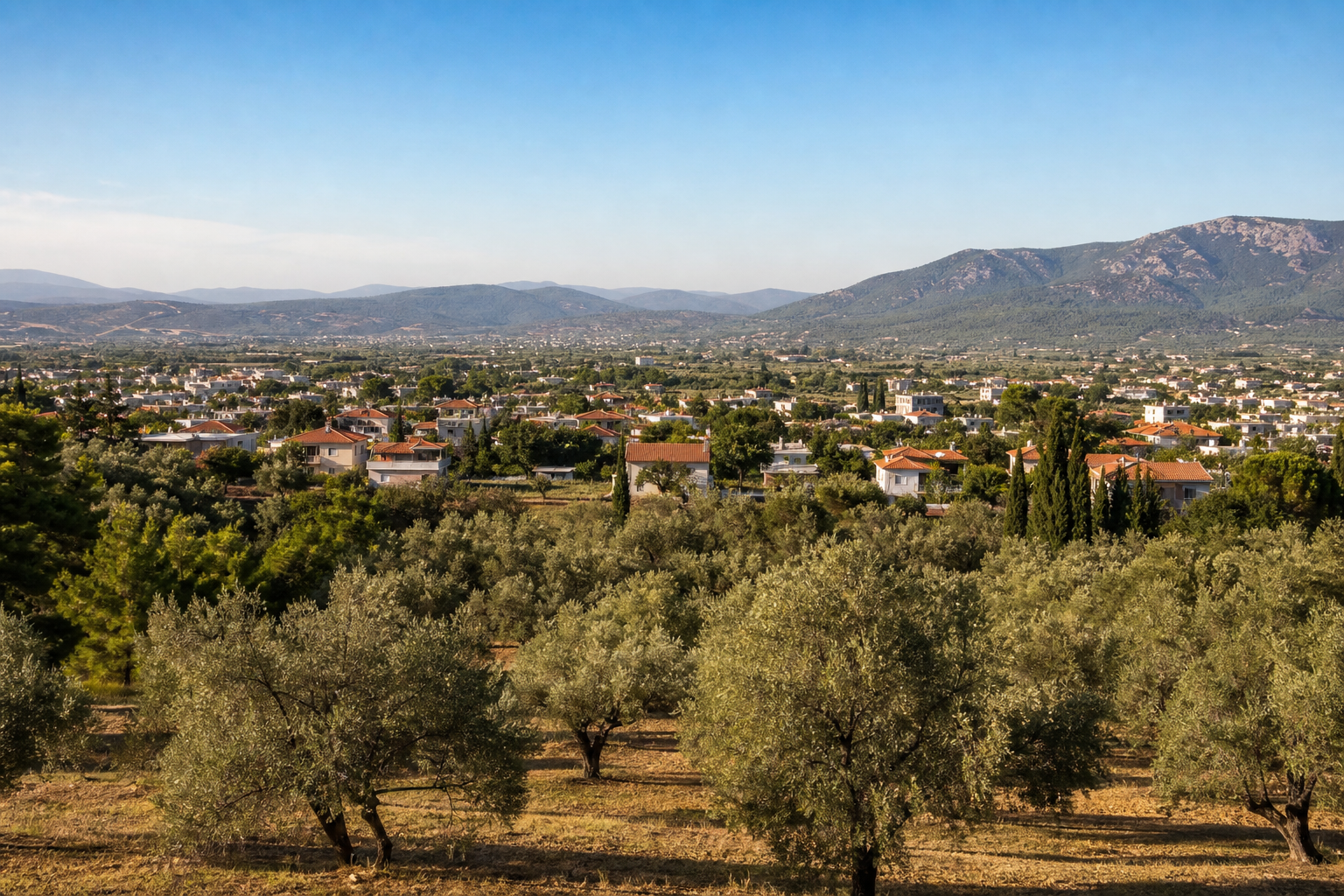 Muğla Milas Bayır Online
